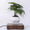 Levitating Flower Pot