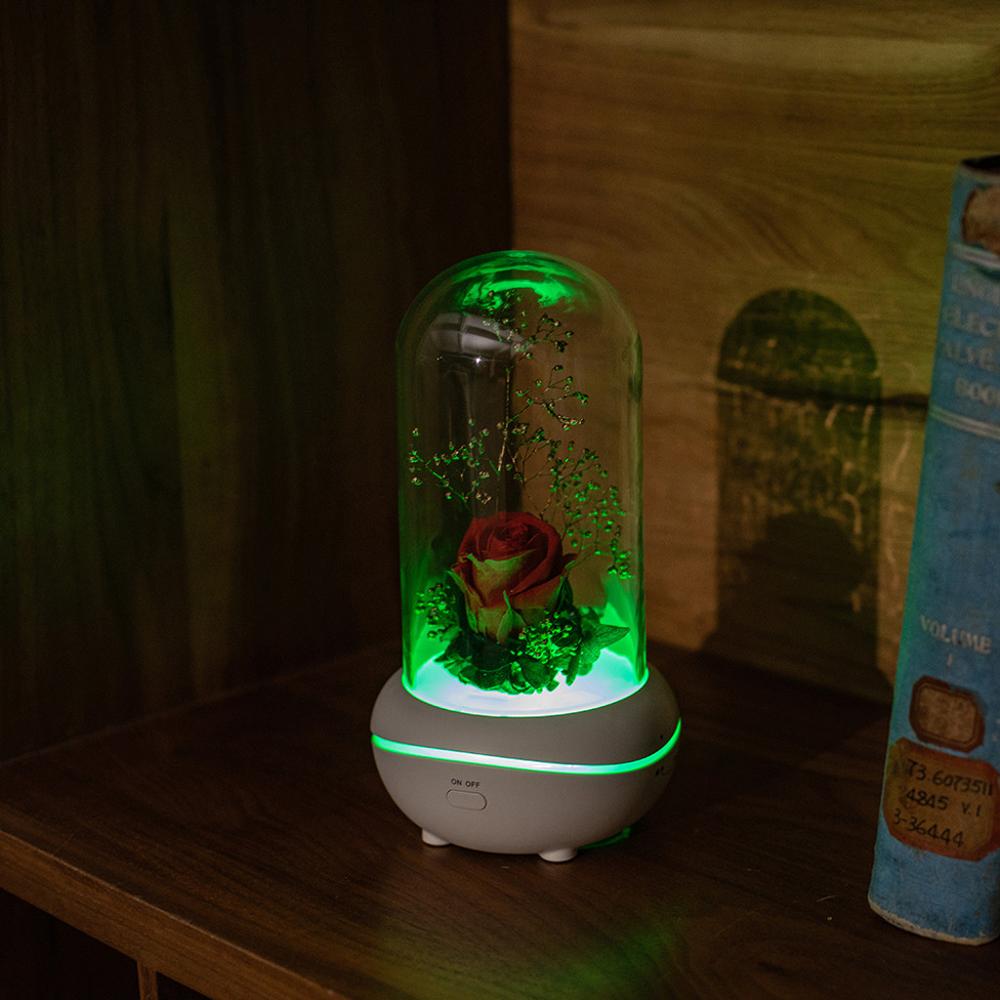 Eternal Flower USB Essential Oil Aromatherapy Machine Mini Home/Car Aromatherapy Home Decor Ornament Perfumed lamp